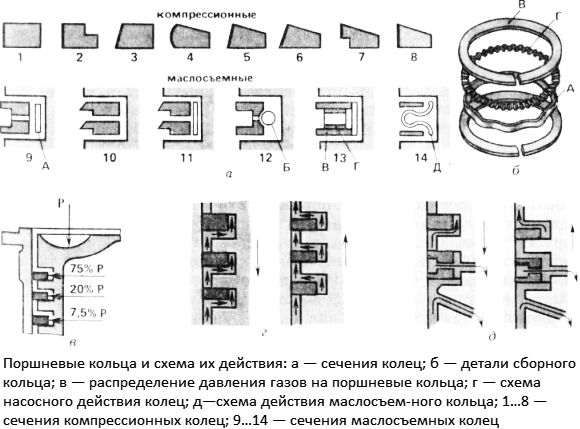 колтса_порсхневие_2