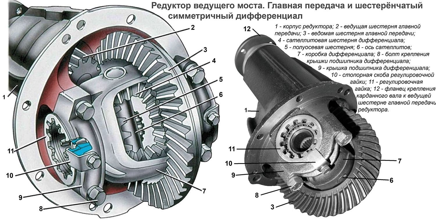 пара_коницхескаиа_2