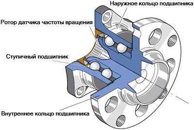 подсхипник_ступитси_2