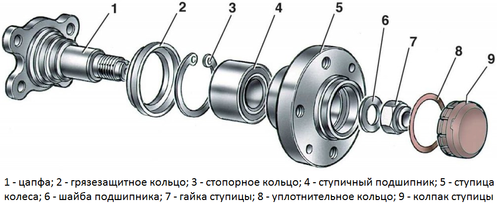 подсхипник_ступитси_3