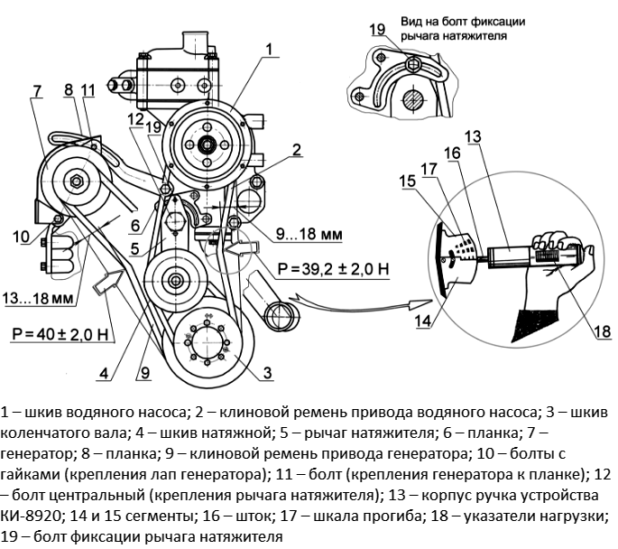 ремен_мтз_3